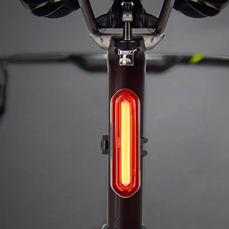 Night Cycling Tail Light